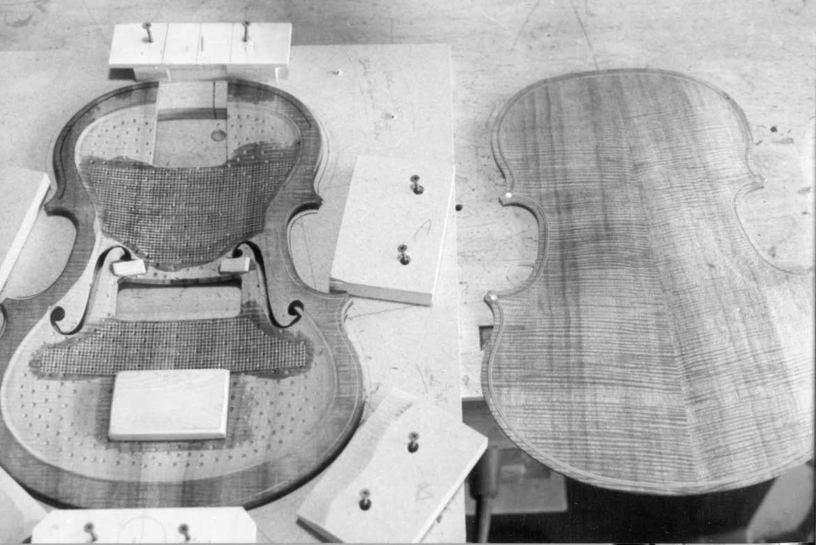 Violin Bass Top and Back PLates